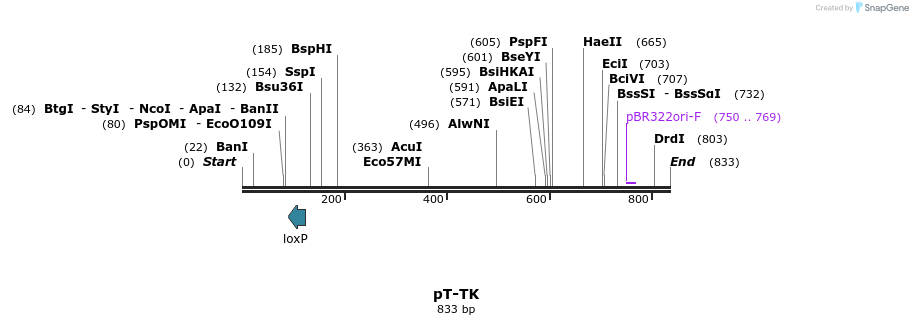 45582_map