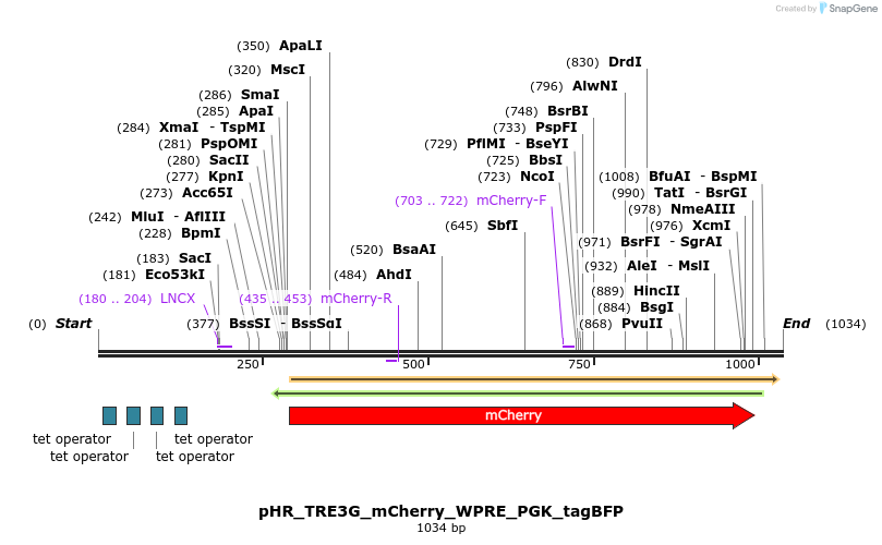 455832_map