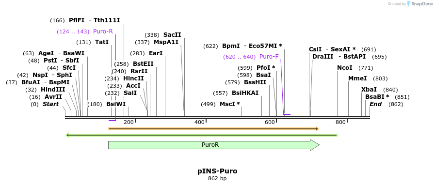 45584_map
