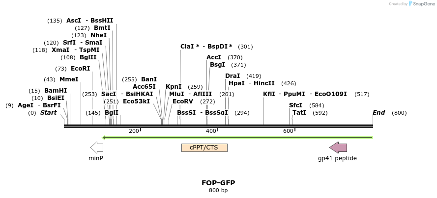 45587_map