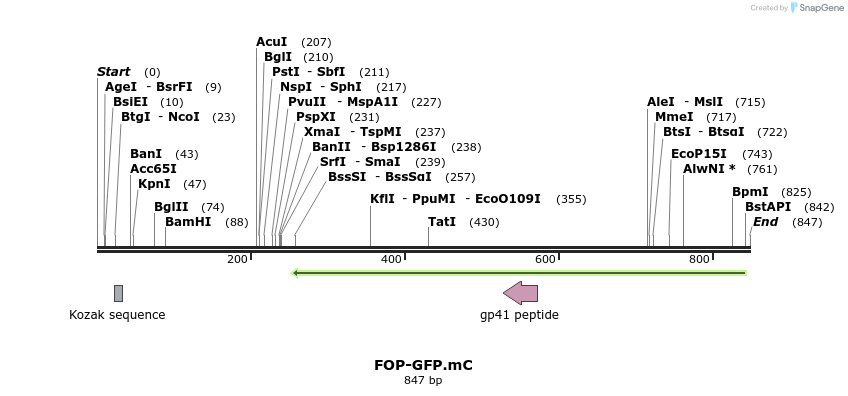 45589_map