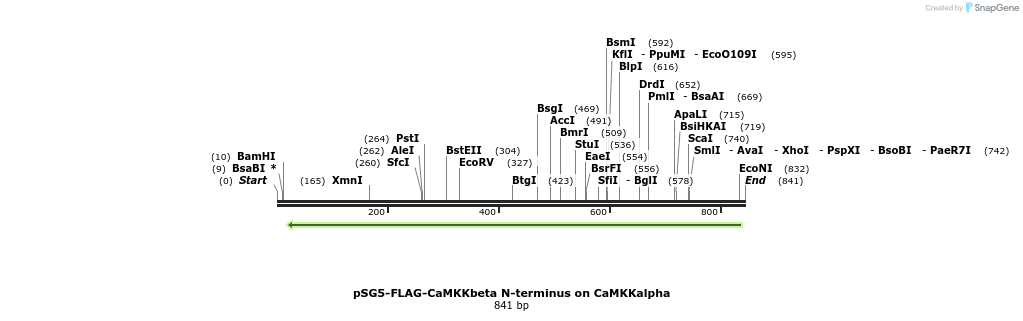 45594_map