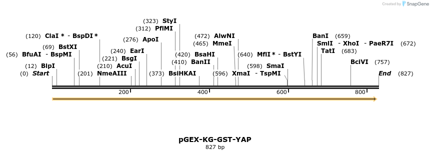 45598_map