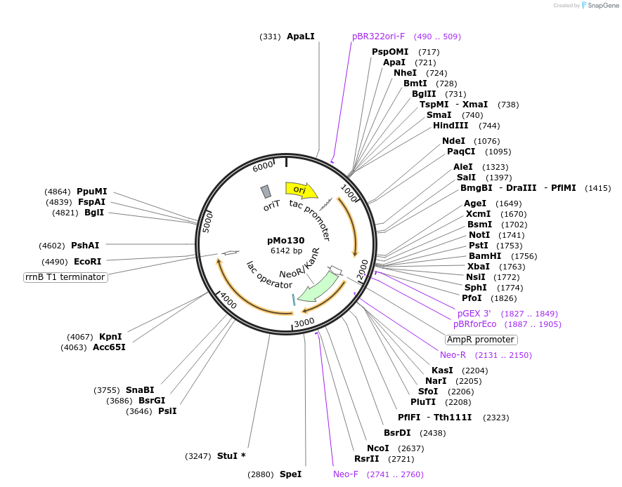 455988_map