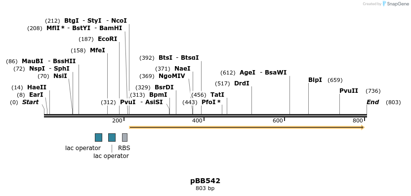 45601_map