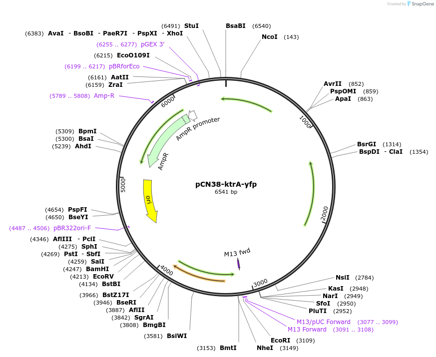 456013_map
