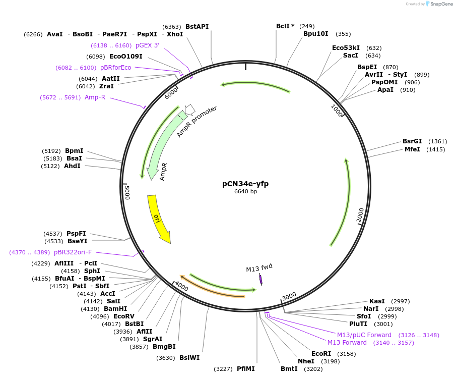 456024_map