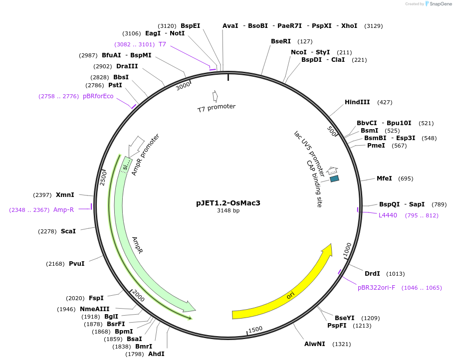 456030_map