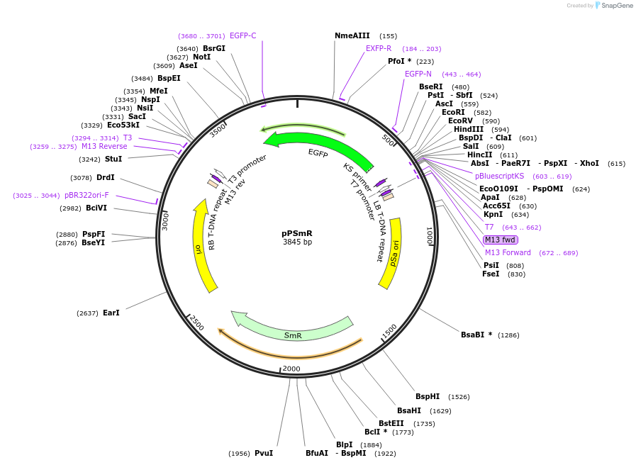 456034_map