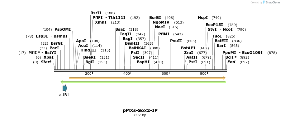 45605_map