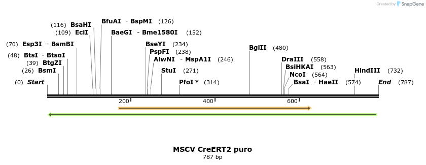 45607_map