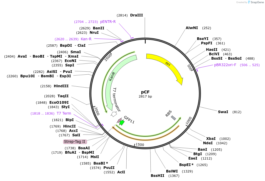 456070_map