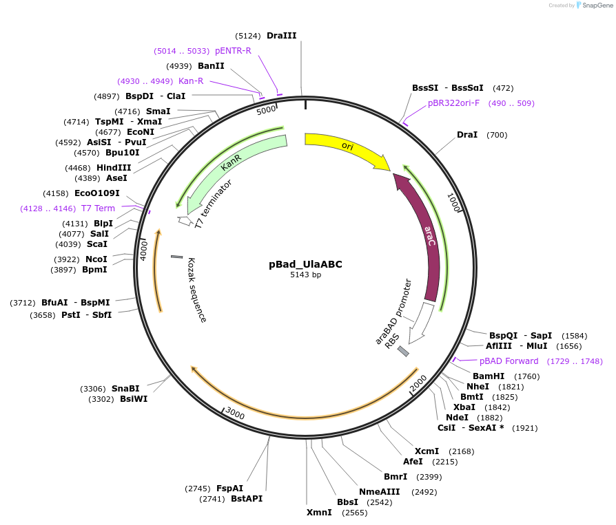 456073_map