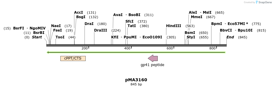 45610_map