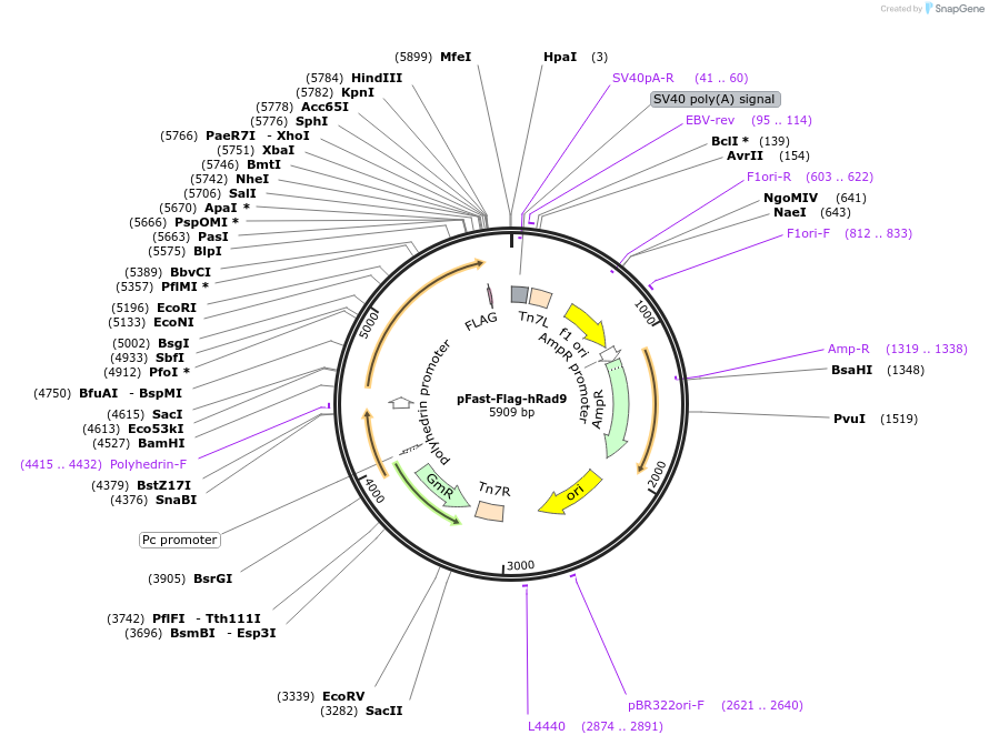 456169_map