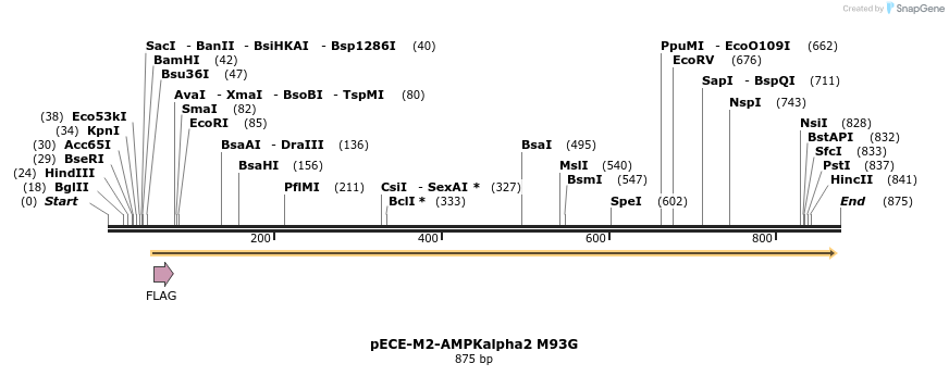 45618_map