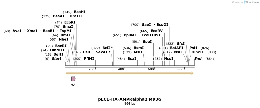 45619_map