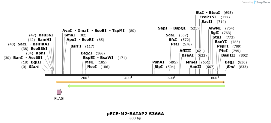 45621_map