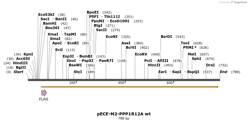 45622_map