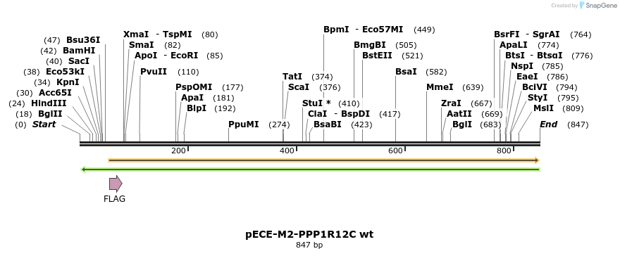 45623_map