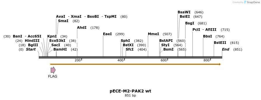 45629_map