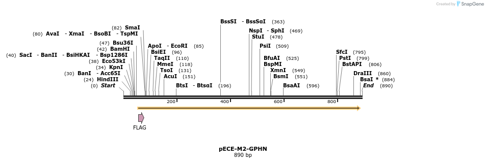 45630_map