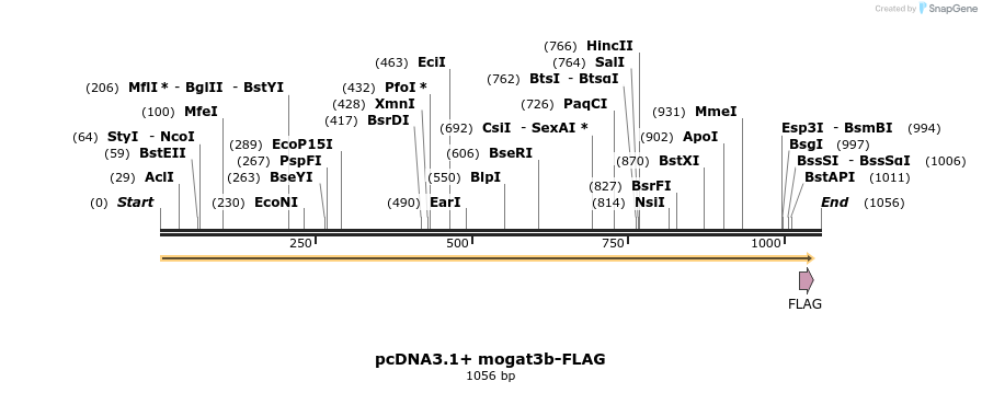 456353_map