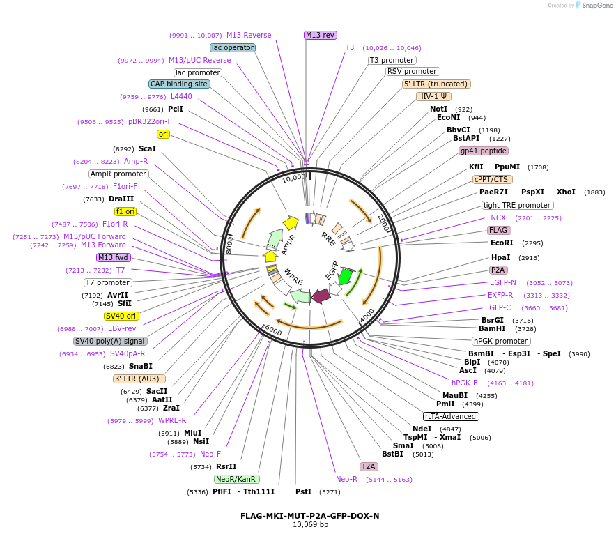 456359_map