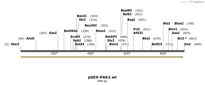 45636_map