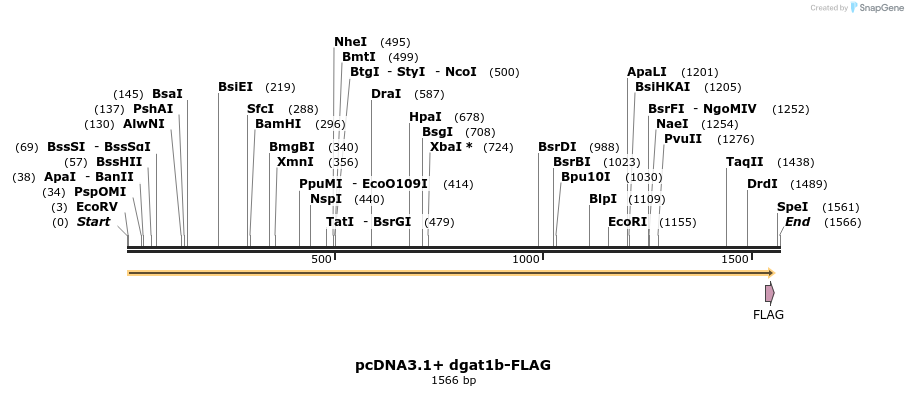 456369_map