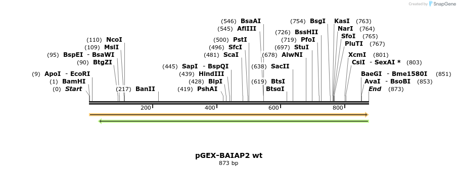 45638_map