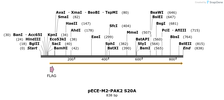 45641_map