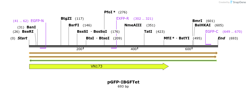 45644_map