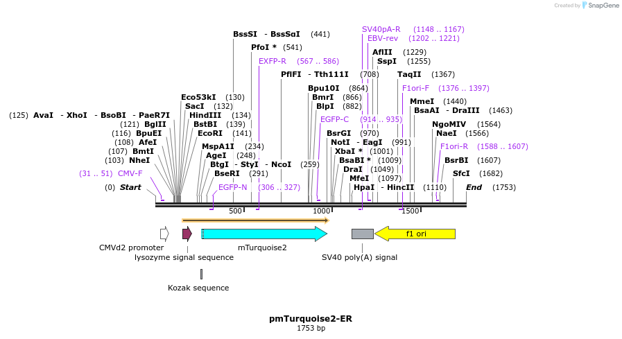 45647_map