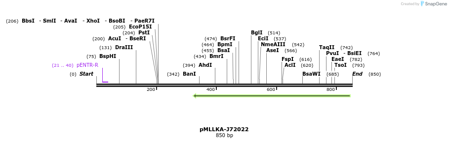 45653_map