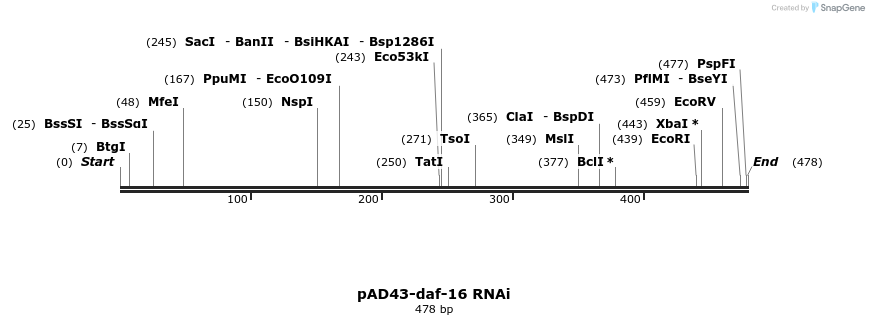 45654_map