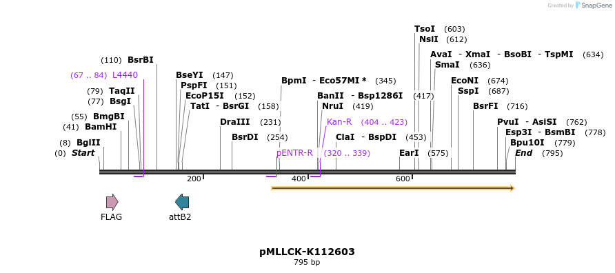 45659_map