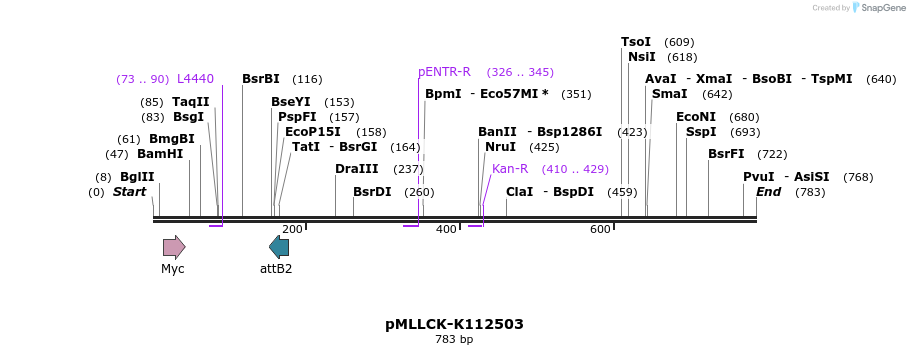 45662_map