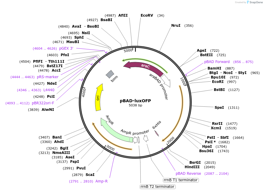 456850_map