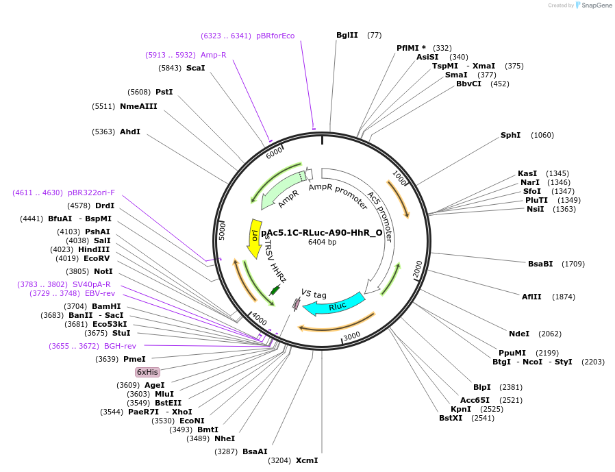 456973_map