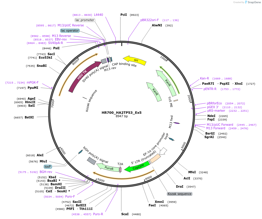 457012_map