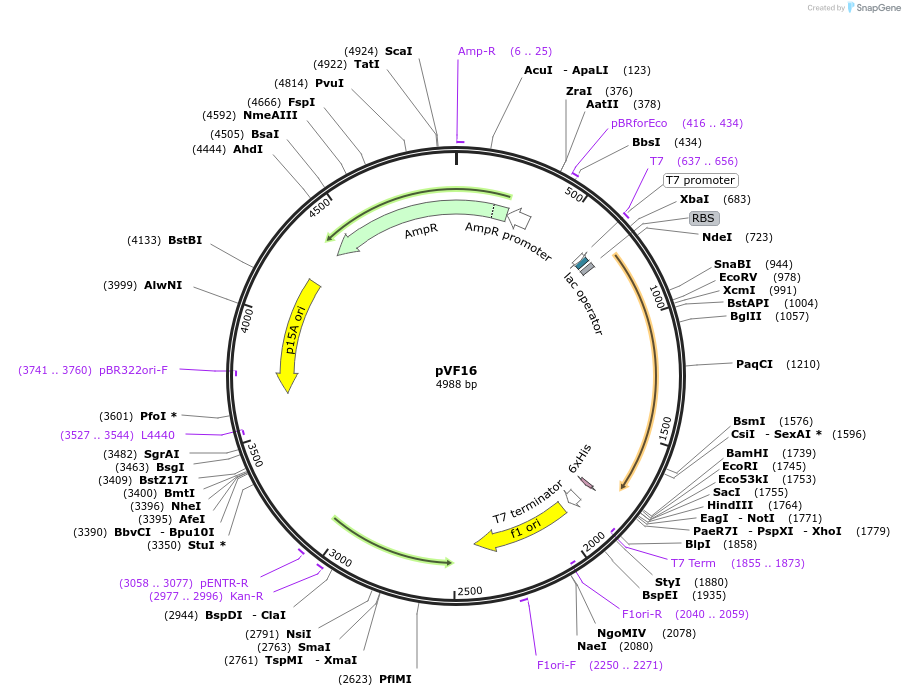 457021_map
