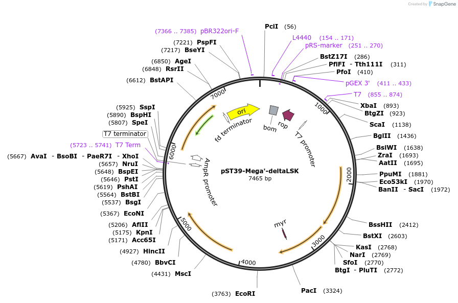 457050_map