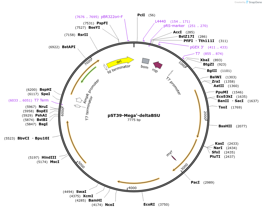 457057_map