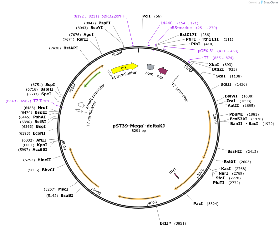 457062_map