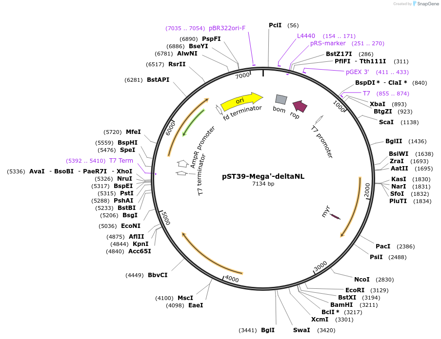 457067_map