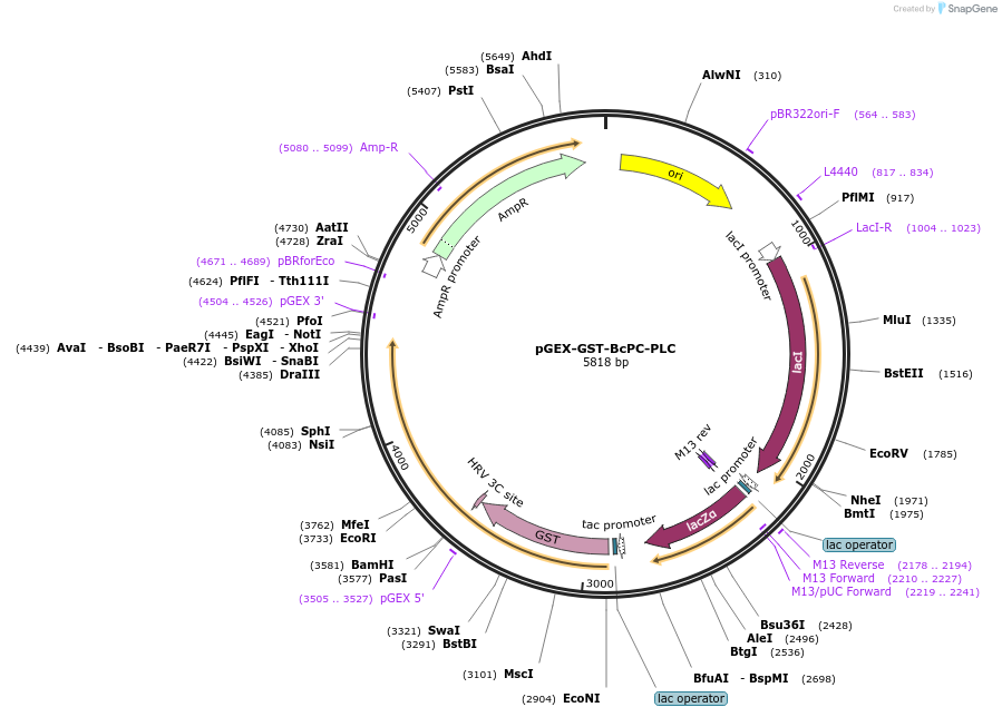 457146_map