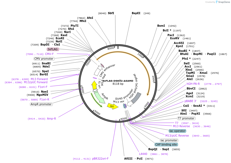 457149_map