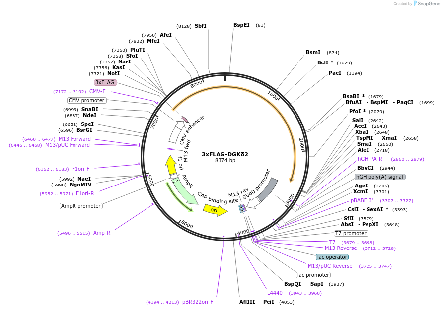 457151_map
