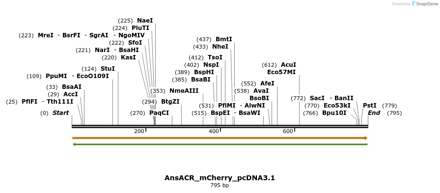 457443_map
